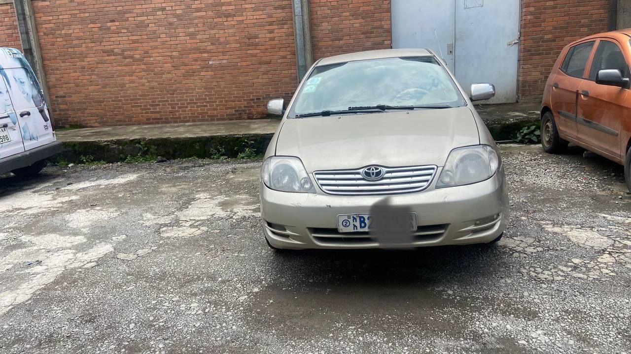 Corolla