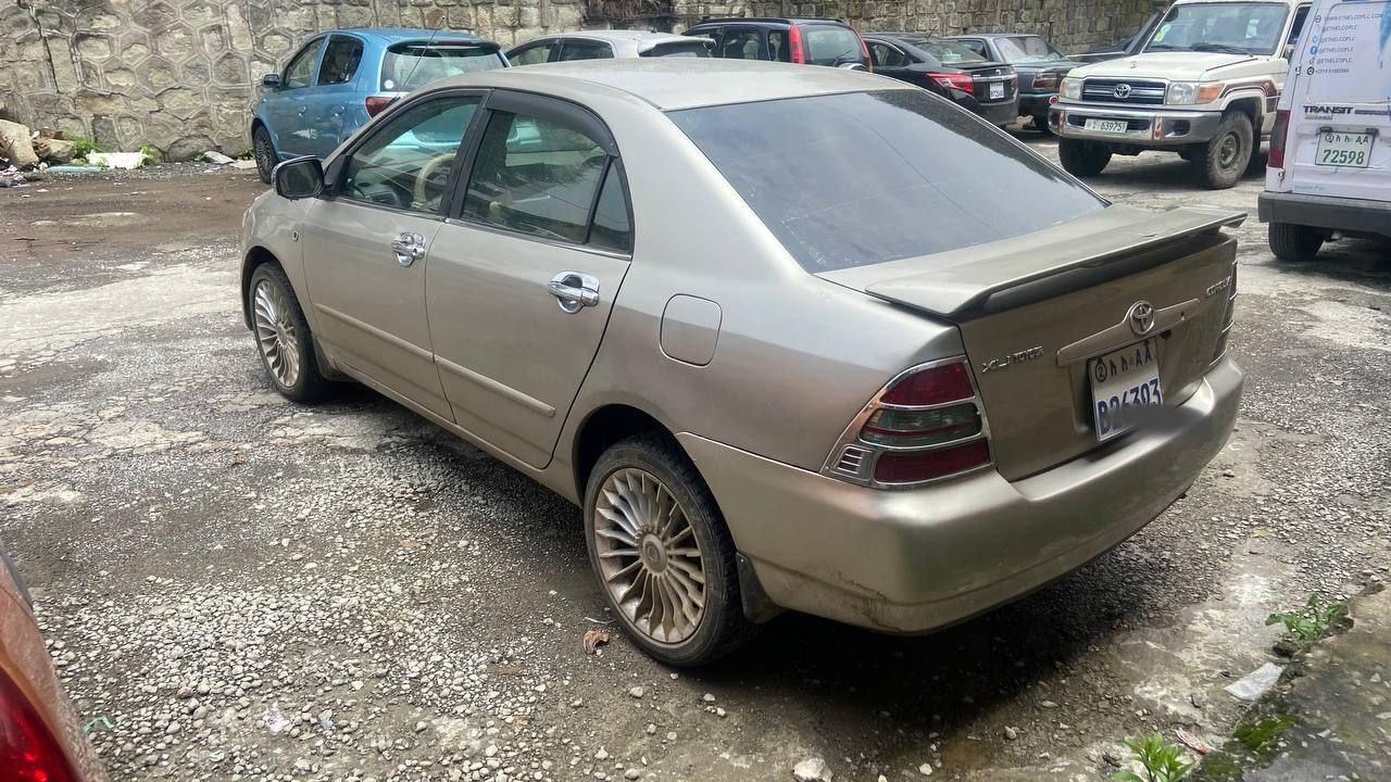 Corolla