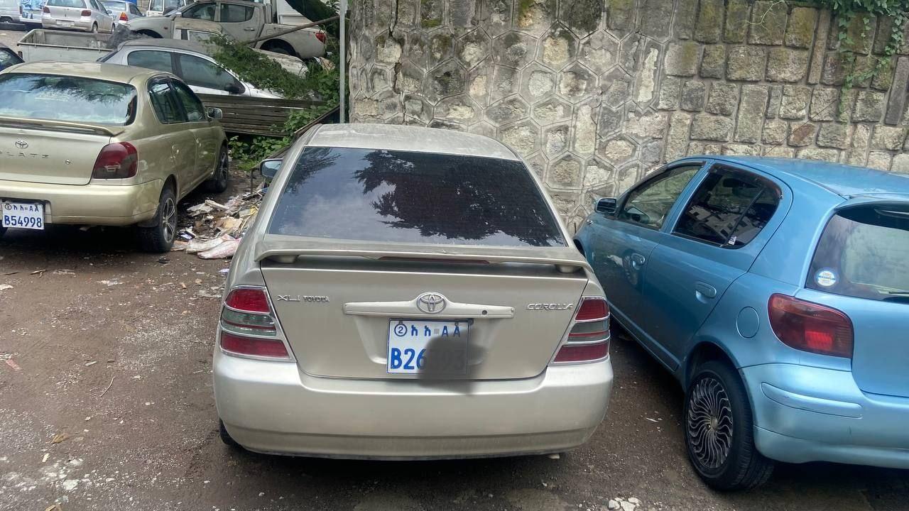 Corolla