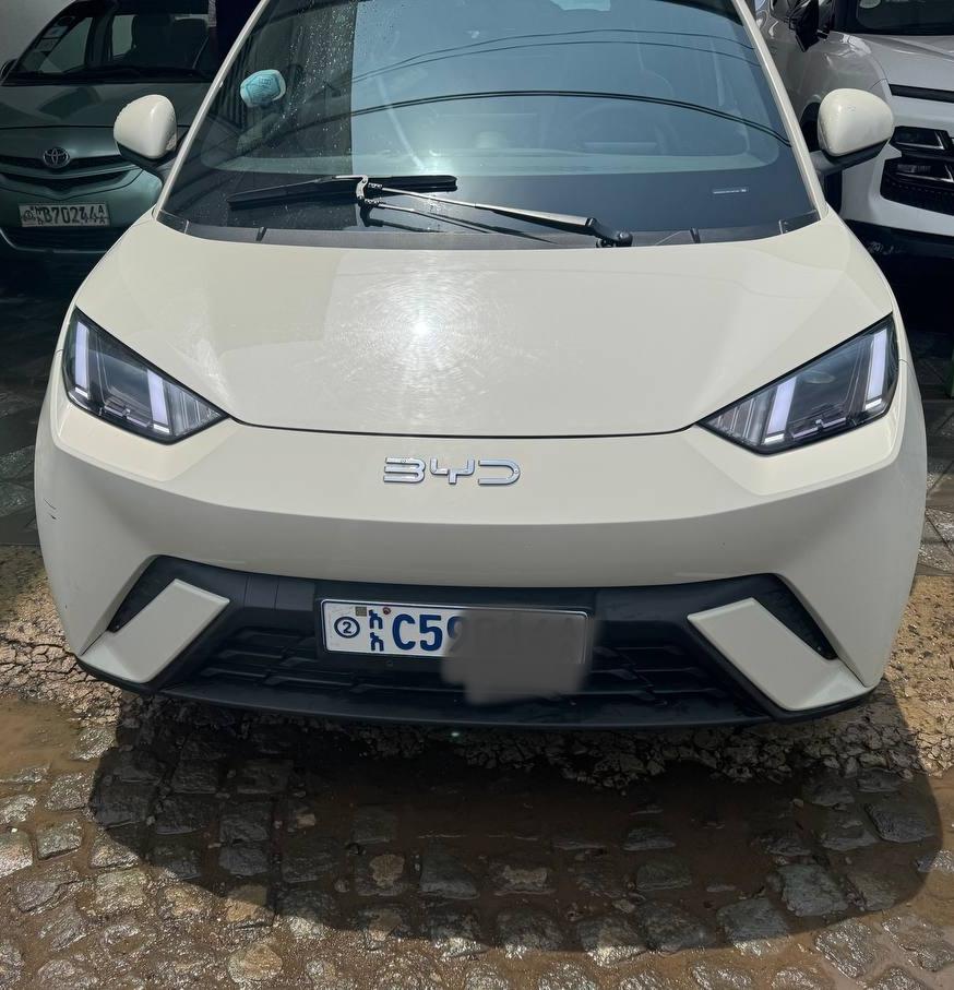 BYD