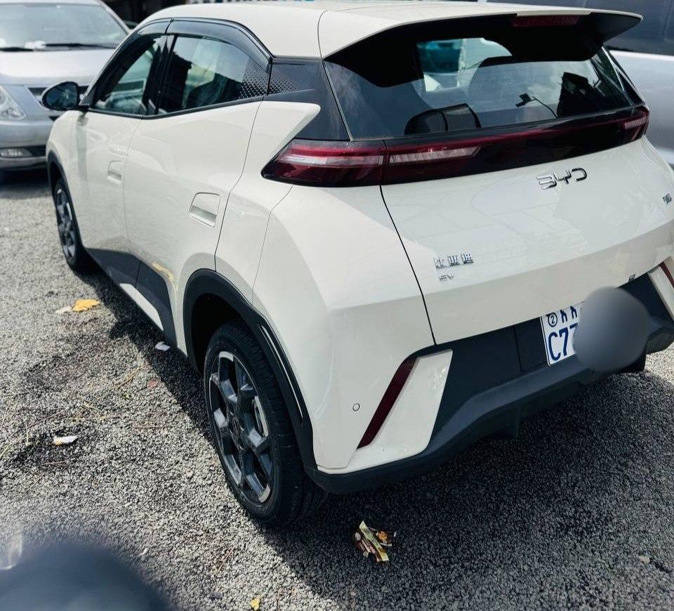 BYD